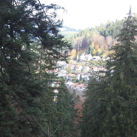 Relaxapartments Black Forest Diamond Direkt An Der Hornberger Freilichtbuehne - Sonnenterrasse Mit Blick Auf Das Hornberger Schloss, Schnelles Internet, Fuer Bis Zu 2 Personen Luaran gambar
