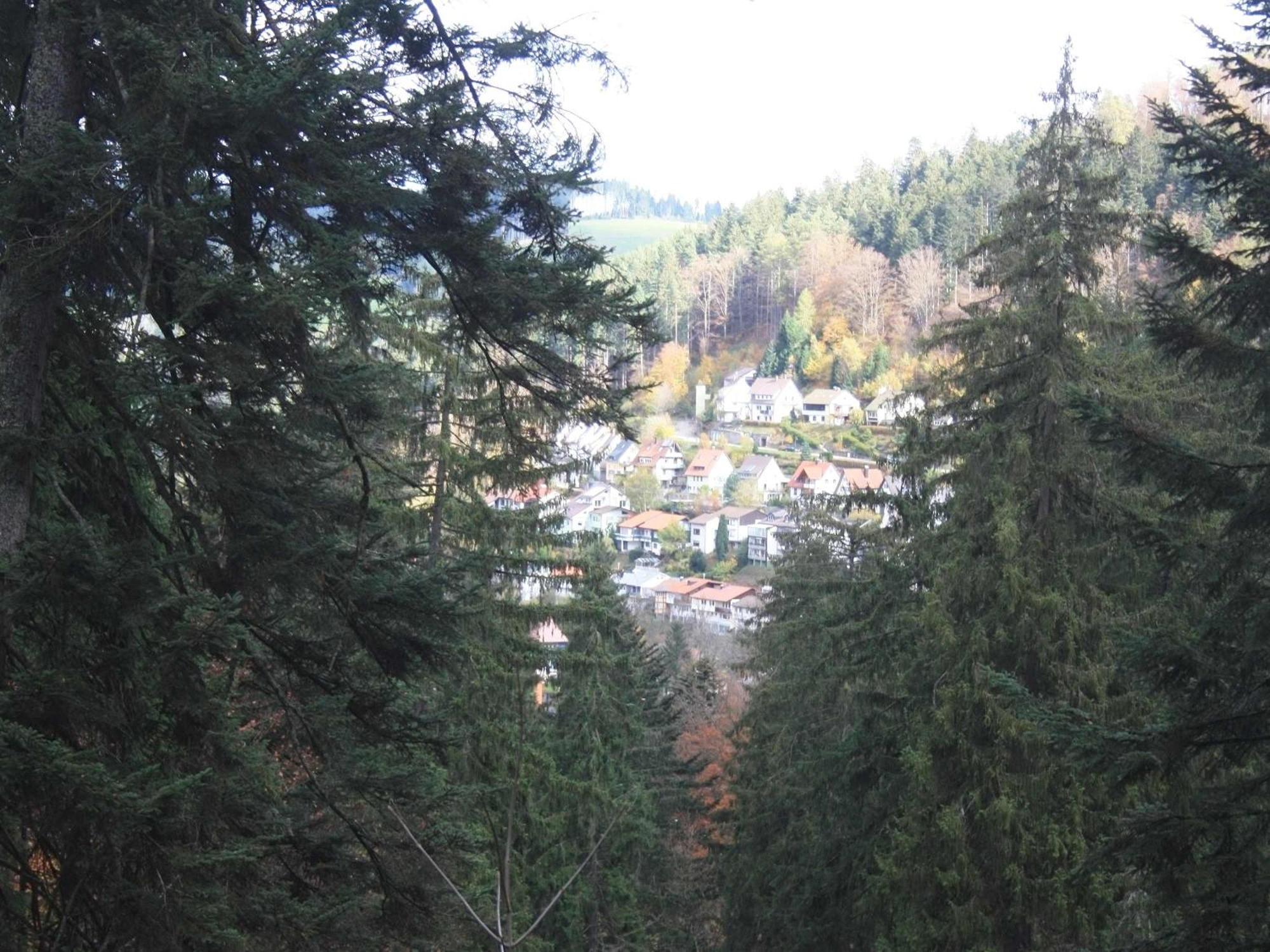 Relaxapartments Black Forest Diamond Direkt An Der Hornberger Freilichtbuehne - Sonnenterrasse Mit Blick Auf Das Hornberger Schloss, Schnelles Internet, Fuer Bis Zu 2 Personen Luaran gambar