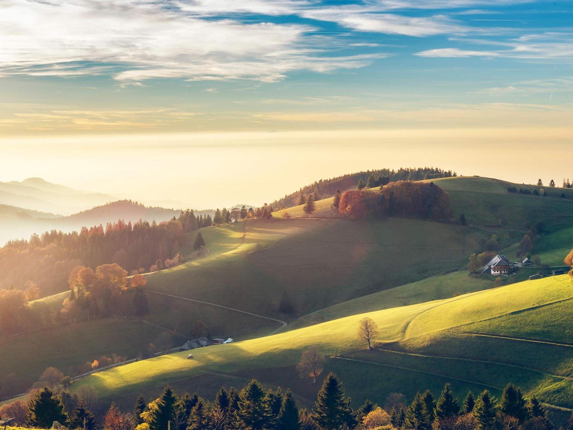 Relaxapartments Black Forest Diamond Direkt An Der Hornberger Freilichtbuehne - Sonnenterrasse Mit Blick Auf Das Hornberger Schloss, Schnelles Internet, Fuer Bis Zu 2 Personen Luaran gambar