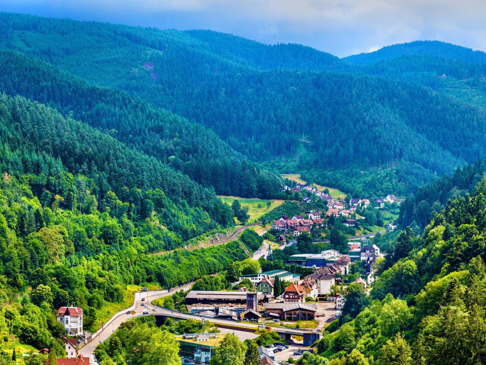 Relaxapartments Black Forest Diamond Direkt An Der Hornberger Freilichtbuehne - Sonnenterrasse Mit Blick Auf Das Hornberger Schloss, Schnelles Internet, Fuer Bis Zu 2 Personen Luaran gambar